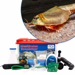 Premium Triops longicaudatus Komplettset - mit LED-Beleuchtung - Filter und Heizung (Produktbild)