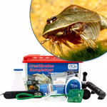 Premium Triops cf. longicaudatus Hawaii Komplettset - mit LED-Beleuchtung - Filter und Heizung Set mit Triops (Produktbild)