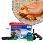 Premium Triops longicaudatus rot Komplettset - mit LED-Beleuchtung - Filter und Heizung (Produktbild)