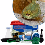Premium Triops mauritanicus (grün) Komplettset - mit LED-Beleuchtung und Filter (Produktbild)