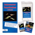 Artemia cf. persimilis Zucht Set (mittel) für Aquarianer - mehr als 1.000.000 Eier - mit Salz Futter und Anleitung (Produktbild)