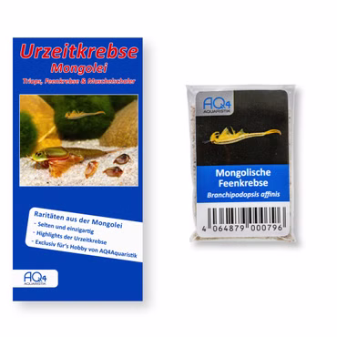 Mongolische Feenkrebse - Branchipodopsis affinis - mit Anleitung - Rarität Mongolische Feenkrebse - Branchipodopsis affinis - mit Anleitung - Rarität (Produktbild)
