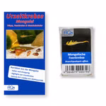 Mongolische Feenkrebse - Branchipodopsis affinis - mit Anleitung - Rarität (Produktbild)