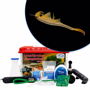 Premium Urzeitkrebse Komplettset Mongolische Süßwasser Feenkrebse Branchipodopsis affinis mit LED-Beleuchtung - Filter und Heizung Premium Urzeitkrebse Komplettset Mongolische Süßwasser Feenkrebse Branchipodopsis affinis mit LED-Beleuchtung - Filter und Heizung (Produktbild)