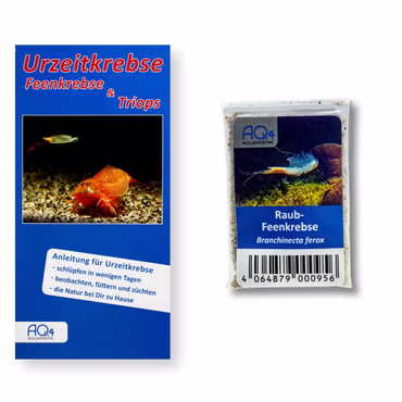 Raub-Feenkrebse - Branchinecta ferox - mit Anleitung - Rarität Raub-Feenkrebse - Branchinecta ferox - mit Anleitung - Rarität (Produktbild)