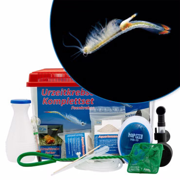 Großes Komplettset - Biberschwanz Feenkrebse Thamnocephalus platyurus - Inhalt Urzeitkrebse - mit Filter Großes Komplettset - Biberschwanz Feenkrebse Thamnocephalus platyurus - Inhalt Urzeitkrebse - mit Filter (Produktbild)