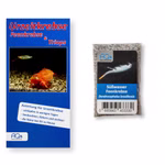 Brasilianische Feenkrebse - Dendrocephalus brasiliensis - Zuchtansatz mit Anleitung (Produktbild)