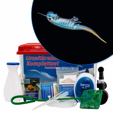 Großes Brasilianische Feenkrebse Komplettset mit Zubehör und Filter - Dendrocephalus brasiliensis Großes Brasilianische Feenkrebse Komplettset mit Zubehör und Filter - Dendrocephalus brasiliensis (Produktbild)