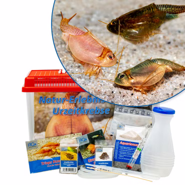 Triops Natur-Erlebnis-Set Urzeitkrebse - Experimente Set Triops Zucht - 6 L Triops Natur-Erlebnis-Set Urzeitkrebse - Experimente Set Triops Zucht - 6 L (Produktbild)