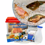 Triops Natur-Erlebnis-Set Urzeitkrebse - Experimente Set Triops Zucht - 6 L mit Artenbild (Produktbild)