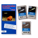 Süßwasser Feenkrebse Eier - 3 Arten - mit Anleitung - Branchinella thailandensis - Streptocephalus siamensis - Dendrocephalus brasiliensis (Produktbild)