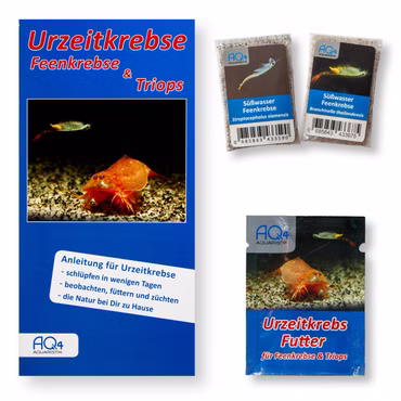 Süßwasser Feenkrebse Eier - 2 Arten - mit Urzeitkrebs Futter und Anleitung (Thailändische und Siam Feenkrebse) Süßwasser Feenkrebse Eier - 2 Arten - mit Urzeitkrebs Futter und Anleitung (Thailändische und Siam Feenkrebse) - Branchinella thailandensis - Streptocephalus siamensis (Produktbild)