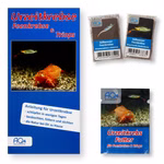 Süßwasser Feenkrebse Eier - 2 Arten - mit Urzeitkrebs Futter und Anleitung (Thailändische und Siam Feenkrebse) - Branchinella thailandensis - Streptocephalus siamensis (Produktbild)