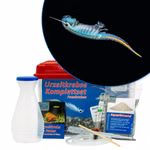 Mittleres Brasilianische Feenkrebse Komplettset - Dendrocephalus brasiliensis (Produktbild)