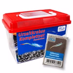 Mittleres Siam Feenkrebse Komplettset - Streptocephalus siamensis - Urzeitkrebse (Produktbild)