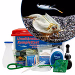 Triops und Feenkrebse Großes Komplettset 6Liter mit Urzeitkrebse Zubehör und Filter (Produktbild)