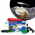 Premium Triops und Feenkrebse Komplettset - mit Zubehör - LED-Beleuchtung - Filter und Heizung (Produktbild)