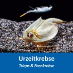 Triops und Feenkrebse - Urzeitkrebse (Produktbild)