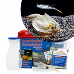 Mittleres Triops und Feenkrebse Komplettset - Urzeitkrebse (Produktbild)