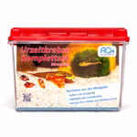Premium Urzeitkrebse Komplettset Mongolische Muschelschaler Eocyzicus davidi mit LED  (Produktbild)