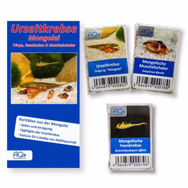 Mongolische Urzeitkrebse - Triops - Feenkrebse - Muschelschaler - mit Anleitung - RARITÄT Mongolische Urzeitkrebse - Triops - Feenkrebse - Muschelschaler - mit Anleitung - RARITÄT (Produktbild)