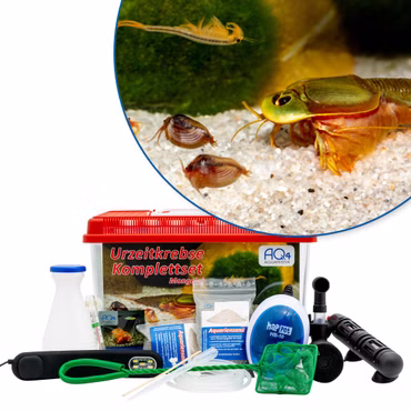 Premium Mongolische Urzeitkrebse Komplettset mit LED-Beleuchtung - Filter und Heizung Branchipodopsis affinis - Eocyzicus davidi und Triops sp. Mongolei Premium Mongolische Urzeitkrebse Komplettset mit LED-Beleuchtung - Filter und Heizung - Feenkrebse - Branchipodopsis affinis - Muschelschaler Eocyzicus davidi und Triops sp. Mongolei (Produktbild)