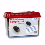 Mittleres Muschelschaler Komplettset - Schwarzer Muschelschaler Cyzicus sp. - Urzeitkrebse (Produktbild)
