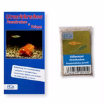 Suedafrikanische Feenkrebse - Streptocephalus purcelli - Zuchtansatz mit Anleitung (Produktbild)