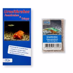 Triops australiensis Ayers Rock grün - Urzeitkrebse - Zuchtansatz mit Anleitung (Produktbild)