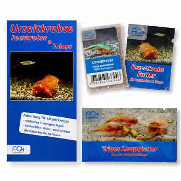 Triops australiensis Ayers Rock grün - Starter-Set - Urzeitkrebse - Zuchtansatz Urzeitkrebsfutter und Triops Hauptfutter Triops australiensis Ayers Rock grün - Starter-Set - Urzeitkrebse - Zuchtansatz Urzeitkrebsfutter und Triops Hauptfutter (Produktbild)