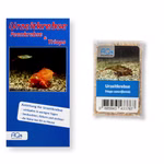 Triops cancriformis - Urzeitkrebse - Zuchtansatz mit Anleitung (Produktbild)