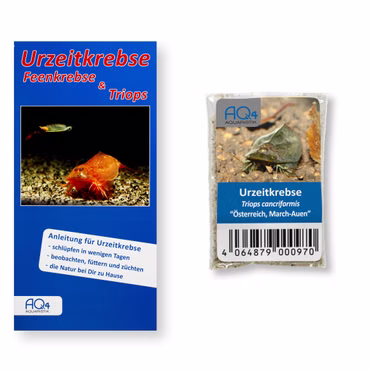 Triops cancriformis Österreich - March Auen - Urzeitkrebse - Zuchtansatz mit Anleitung Triops cancriformis Österreich - March Auen - Urzeitkrebse - Zuchtansatz mit Anleitung (Produktbild)