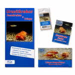 Triops cancriformis Starter-Set - Zuchtansatz Urzeitkrebsfutter und Triops Hauptfutter (Produktbild)