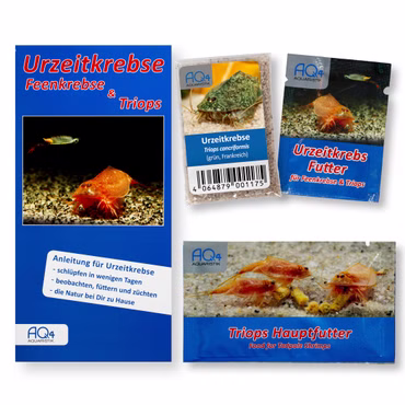 Triops cancriformis Frankreich grün Starter-Set - Zuchtansatz Urzeitkrebsfutter und Triops Hauptfutter Triops cancriformis Frankreich grün Starter-Set - Zuchtansatz Urzeitkrebsfutter und Triops Hauptfutter (Produktbild)