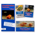 Triops cancriformis Frankreich grün Starter-Set - Zuchtansatz Urzeitkrebsfutter und Triops Hauptfutter (Produktbild)