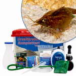 Großes Triops cancriformis Komplettset mit Zubehör und Filter Großes Triops cancriformis Komplettset mit Zubehör und Filter (Produktbild)