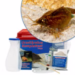 Mittleres Triops cancriformis Komplettset (Produktbild)