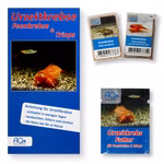 Triops cancriformis - Naturform und Beni Kabuto Ebi rot - Urzeitkrebse - 2 Zuchtansätze mit Anleitung und Urzeitkrebsfutter (Produktbild)