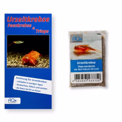 Triops cancriformis - Beni Kabuto Ebi rot - Urzeitkrebse - Zuchtansatz mit Anleitung Triops cancriformis - Beni Kabuto Ebi rot - Urzeitkrebse - Zuchtansatz mit Anleitung (Produktbild)