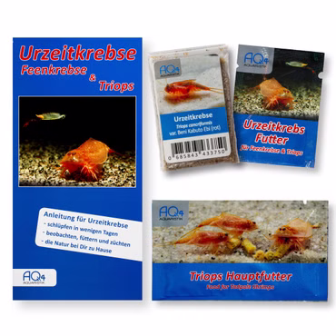 Triops cancriformis Beni Kabuto Ebi rot Starter-Set - Zuchtansatz Urzeitkrebsfutter und Triops Hauptfutter Triops cancriformis Beni Kabuto Ebi rot Starter-Set - Zuchtansatz Urzeitkrebsfutter und Triops Hauptfutter (Produktbild)