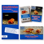 Triops cancriformis Beni Kabuto Ebi rot Starter-Set - Zuchtansatz Urzeitkrebsfutter und Triops Hauptfutter (Produktbild)