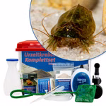 Großes Triops cancriformis simplex Komplettset mit Zubehör und Filter (Produktbild)