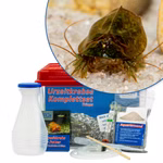 Mittleres Triops cancriformis simplex Komplettset (Produktbild)