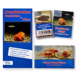 Triops cancriformis simplex Starter-Set - Zuchtansatz Urzeitkrebsfutter und Triops Hauptfutter (Produktbild)