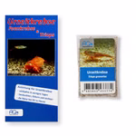 Triops granarius - Japanischer Urzeitkrebs - Zuchtansatz mit Anleitung (Produktbild)