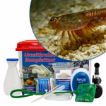 Großes Triops granarius Komplettset mit Zubehör und Filter (Produktbild)