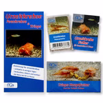 Triops granarius - Starter-Set - Zuchtansatz Urzeitkrebsfutter und Triops Hauptfutter - Japanischer Urzeitkrebs (Produktbild)