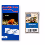 Triops longicaudatus Black Beauty - Urzeitkrebse - Zuchtansatz mit Anleitung (Produktbild)