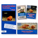 Triops longicaudatus Black Beauty - Urzeitkrebse - Zuchtansatz mit Anleitung - Urzeitkrebsfutter und Triops Hauptfutter (Produktbild)