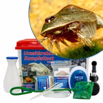 Großes Triops cf. longicaudatus Hawaii Komplettset mit Zubehör und Filter (Produktbild)